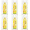 Generic Salted Mandarin Drink, 500ml, Pack of 6