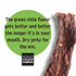 13g 1 (16 oz) Peoples Choice Beef Jerky Carne Seca Hatch Green Chile Protein Sugar Free, Zero Carb, Keto Friendly Dry