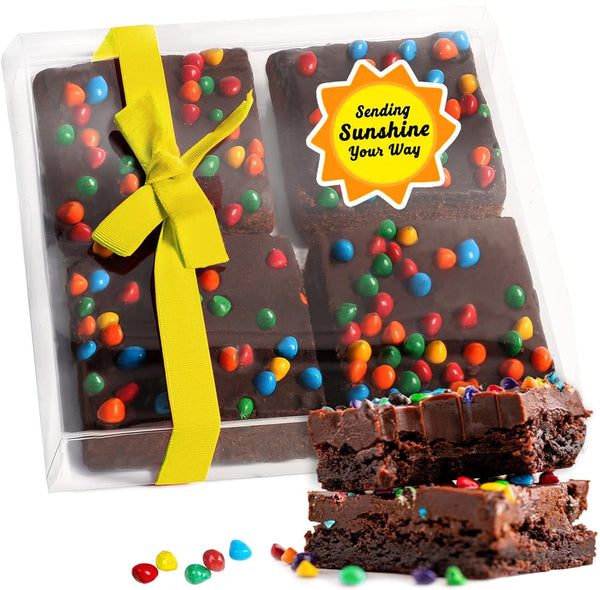 Sending You Sunshine Gift Basket Care Package Cookies Chocolate Brownies Food Gift