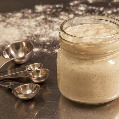 Good Gut Tribe Freshly Fermented - Certifed Organic Freeze Dried Sourdough Starter - Alaskan