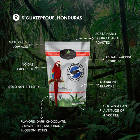 Canopy Point Coffee Honduras Dark Roast | Coarse Ground Coffee for Cold Brew, French Press & Percolator | Arabica