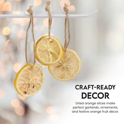 3oz/85gm 23 37 Dried Lemon Slices to Pcs, Citrus Dehydrated Fruit For Cocktails, Lemons For Cocktail and Decor