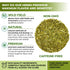 1.8 oz. 50g Shepherds Purse Herb Bulk Herbal Tea Shepard Purse Herb (Capsella Bursa-Pastoris) - Tea Bolsa De Pastor
