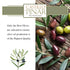 500ml Castillo de Pinar First Cold Pressed ORG Extra Virgin Olive Oil Picual Single-Variety