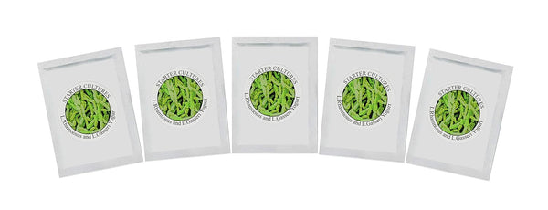 Yogurt Starter Cultures - Pack of 5 Freeze-Dried Sachets for Lactobacillus Rhamnosus