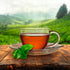 Red Rose 72ct, Orange Pekoe Tea Bags (Imported from Canada)