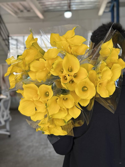Cassiolina 10 Stems Fresh Calla Lily Flowers Elegant Long Stem Flower Bouquet for Vase Home Decor Wedding Party Floral