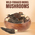 Crown Fungi 2oz pack Morel Mushrooms, of Dried Morel Mushrooms, Perfect Dried Mushrooms for Culinary Creations