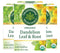 Traditional Medicinals Organic Dandelion Leaf & Root Herbal Tea, Supports Kidney Function