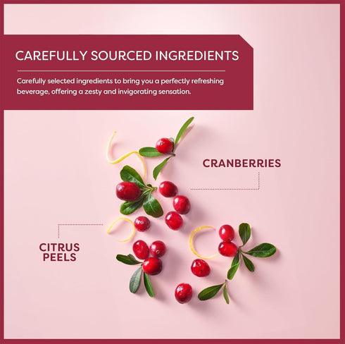 20 Wissotzky Cranberry Herbal Tea, Teabags | Refreshing Blend | Caffeine Free Tea | Antioxidant Rich