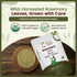 Albania (16 Pack) Organic Way Dried Rosemary Leaves Whole Herb - Herbal Tea | Spice for Seasoning & Cooking | Dried