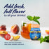 2-Pack, 1.62 Oz Torani Sugar Free Peach Liquid Drink Enhancer, Water Flavoring Ea