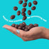 (3 Pack) (3 UNREAL Dark Chocolate Coconut Almonds - Certified Vegan, Gluten Free, Fair Trade, Non-GMO, No Sugar