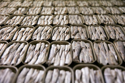 3 Matiz Sardinillas with Piquillo Peppers | Baby Sardines Ounce | Product of Spain | Wild Caught |