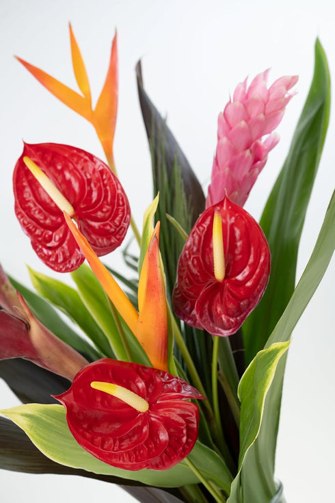 Generic Fresh Orchids and Tropical Flower Bouquet, Red Anthuriums, Red Ginger, Heliconia, Mixed Foliage, Hawaiian