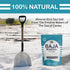 1.1lb 18oz 100% (1.1lb Le Marinier Baja Mineral Sea Salt Coarse Grain, - | Natural and Unrefined | Authentic Baja Sea