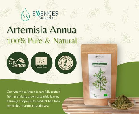 4.4 Oz (125 Essences Bulgaria Organic Sweet Wormwood (Artemisia Annua) | Dried Herb gr) Fine Cut Loose Leaves