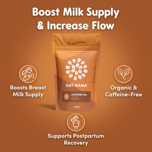 Oat Mama Lactation Tea - Chai Spice for Breastfeeding Moms, Organic Support for Milk Supply Increase