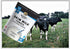 Medallion 500g Package) (1 Skim Milk Powder (Bag Bag)