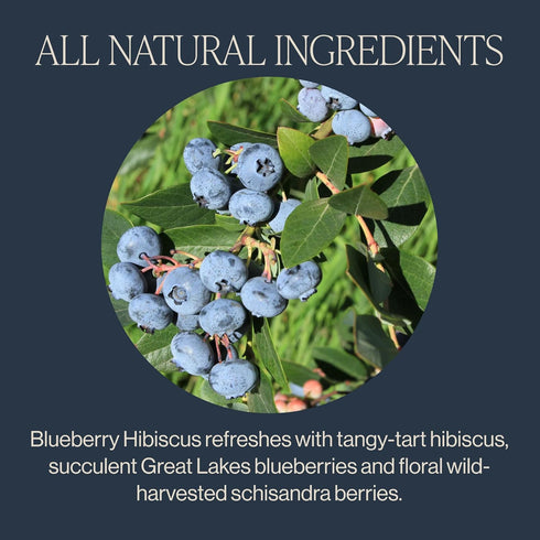 50 Count Rishi Tea Blueberry Hibiscus Herbal Tea - Organic, Caffeine Free Sachet Bags, Sweet & Tangy with Antioxidants