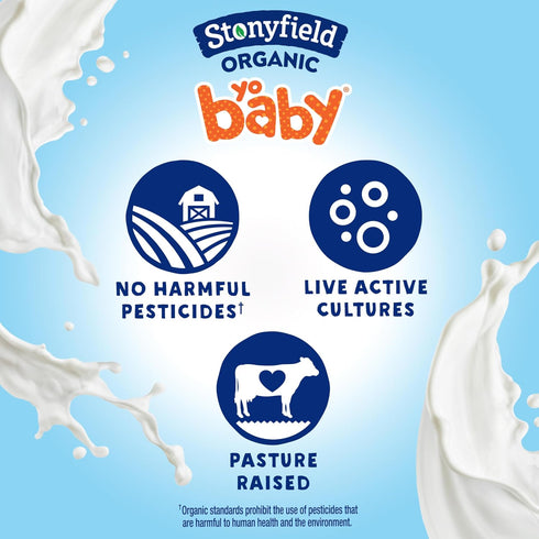 Stonyfield Organic 4 Oz, 6 Pack YoBaby Whole Milk Baby Yogurt Cups with Probiotics, Plain