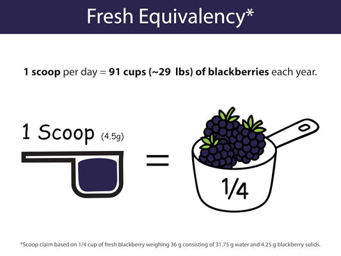 30 (1 1/4 KOYAH - Organic Blackberry Powder: Servings scoop = Cup Fresh): Freeze-dried, Whole-Berry Powder, Raw