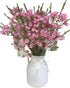 15 Pink Wax flower Fresh Cut Flowers Good flowering period Long flowering period Next day delivery Fresh Delivery