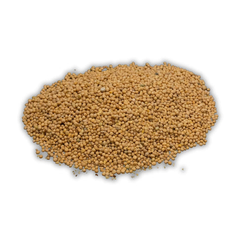Bearded Butchers Dried Whole Mustard Seed 1.5oz Premium Seasoning for DIY Meat