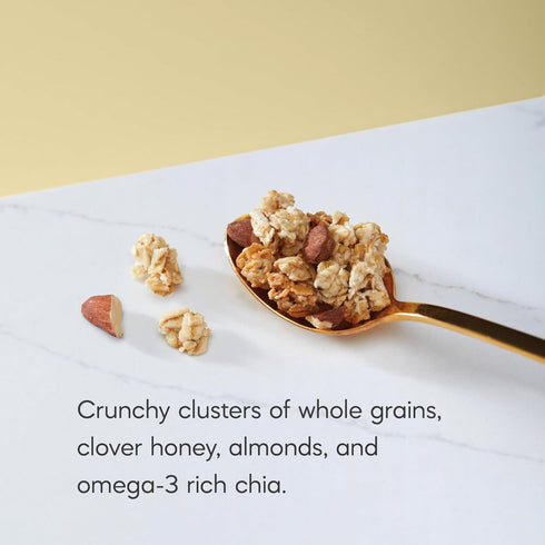 11 oz (Pack 1), Nature's Path Organic Honey Almond Granola, of Gluten Free, Non-GMO