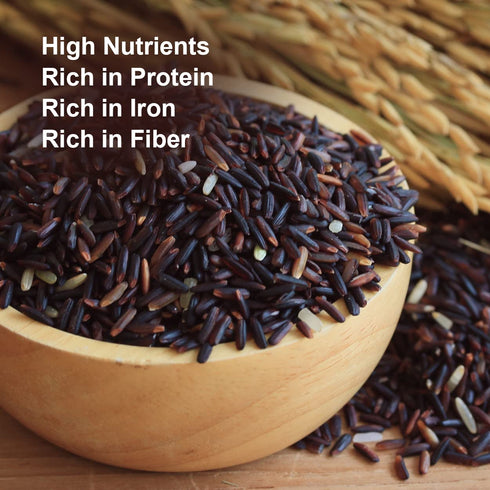 10 Lbs (Pack 1) Shastha Karuppu Kavuni (Black Rice) of (B-M)