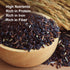 10 Lbs (Pack 1) Shastha Karuppu Kavuni (Black Rice) of (B-M)