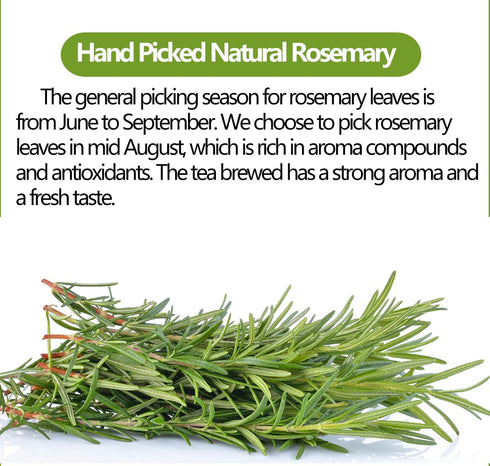100 100% Premium Rosemary Tea Bags, Teabags. Made with Pure Natural Rosemary Leaves,No Additives & Caffeine Free.
