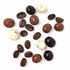 2 SweetGourmet Chocolate Covered Espresso Beans Blend | White Milk Dark Chocolate | Pounds