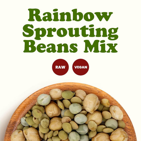 1 Food to Live Rainbow Sprouting Beans Mix, Pound Raw, High Germination Rate, Vegan