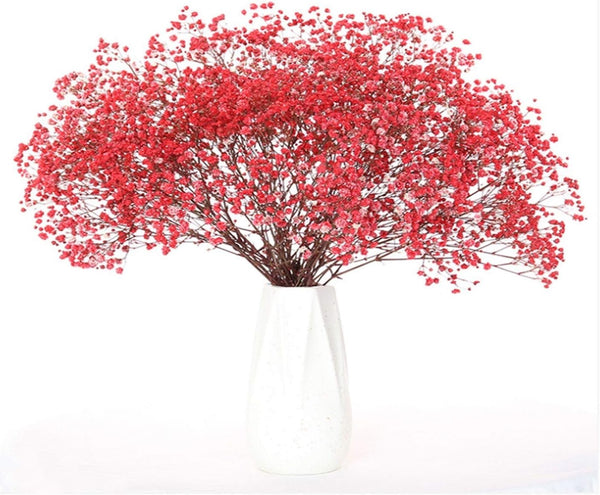 HANRUO 100g Flowers Wedding Bridal Bouquet Natural Dried Flowers Bouquets (Color : Red)