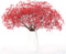 HANRUO 100g Flowers Wedding Bridal Bouquet Natural Dried Flowers Bouquets (Color : Red)