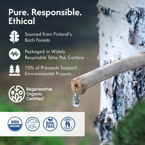 (Pack 12) Regenerative Organic Certified Birch Tree Sap Electrolytes, Minerals, Prebiotics & Vitamins, Finland Wild