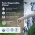(Pack 12) Regenerative Organic Certified Birch Tree Sap Electrolytes, Minerals, Prebiotics & Vitamins, Finland Wild