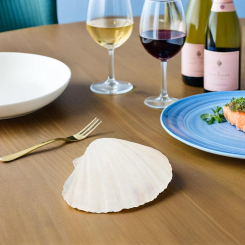 20pcs 10-12cm Set Luxshiny Natural Scallop Shells for Baking and Serving Food, Seashell Plates for Bbq Cooking