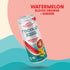 ((Pack 12), Recoup Organic Sparkling Prebiotic Drink - Ginger with Electrolytes for Gut Health Support & Hydration, No