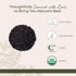1 lb Starwest Botanicals Organic Black Walnut Hull - Cut & Sifted, Use for Tea & Baking, Certified Kosher, Non-GMO