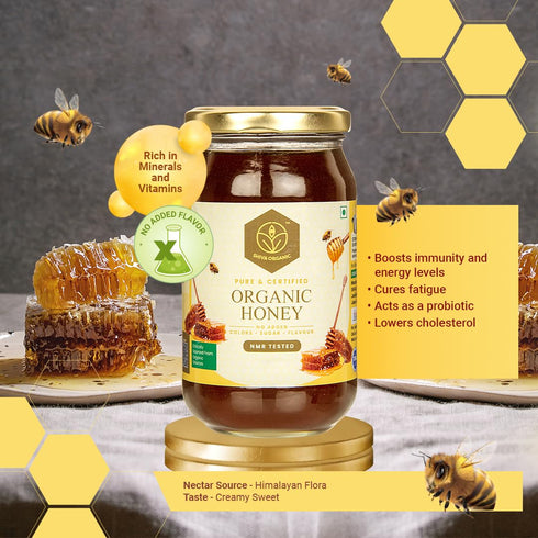 17.63 (500g) Shiva Organic's NPOP Organic Certified Honey - NMR Tested, Natural Honey, No Added Sugar, Flavorful