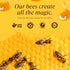 5 lbs. 100% Gallberry Raw & Unfiltered Honey - American Made by Pure Southern Honey