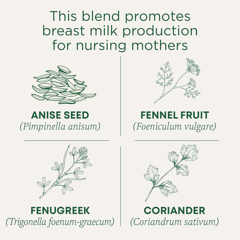 (6 Pack) 96 Traditional Medicinals - Organic Mother's Milk Herbal Tea - Promotes Healthy Lactation in Breastfeeding
