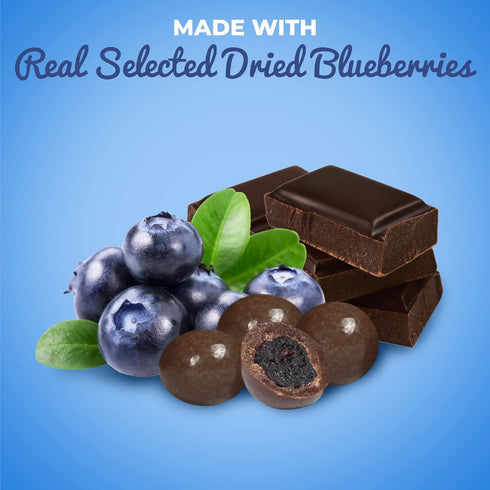 4 LBS Gourmet Dark Chocolate Blueberries by Its Delish, Bulk | Dark Chocolate Covered Fruit with Real Dried Blueberries