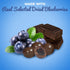 4 LBS Gourmet Dark Chocolate Blueberries by Its Delish, Bulk | Dark Chocolate Covered Fruit with Real Dried Blueberries