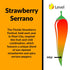 6 Pack Strawberry Serrano Natural Hot Sauce by Fat Cat Gourmet | Sweet & Spicy Flavor | For Chicken, Seafood, Pork, Ham