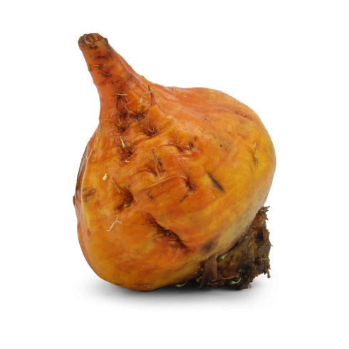 HJZWTS 1 Root Beet Golden Organic, Each