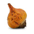 HJZWTS 1 Root Beet Golden Organic, Each