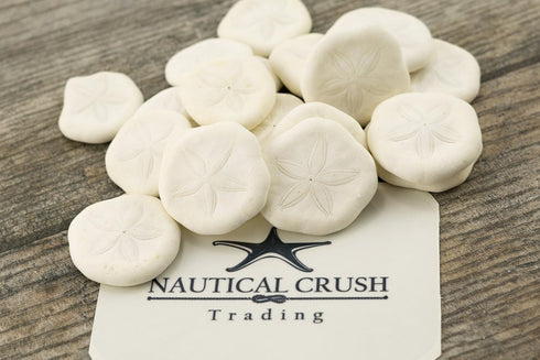 1" 1 1/2" (Set 25) Nautical Crush Trading Sea Biscuits | Real Sea Biscuits - of | Sand Sea Biscuit Plus Free Nautical